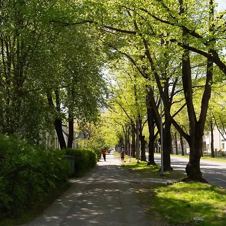 Veerenni31 Apartament Tallin