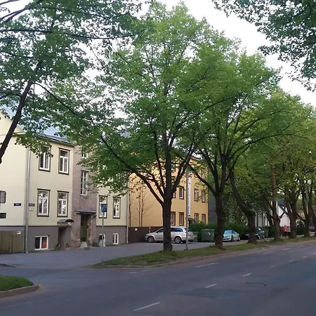 Veerenni31